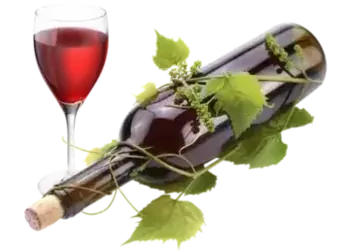 Wine Banner