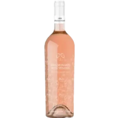 Cielo Appassionante Rose